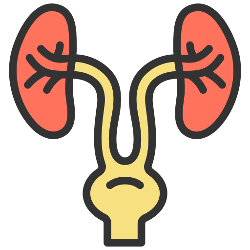 Urology Specialist in Rajshahi City of Bangladesh
